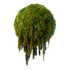 Hanging Moss Sphere with Amaranthus