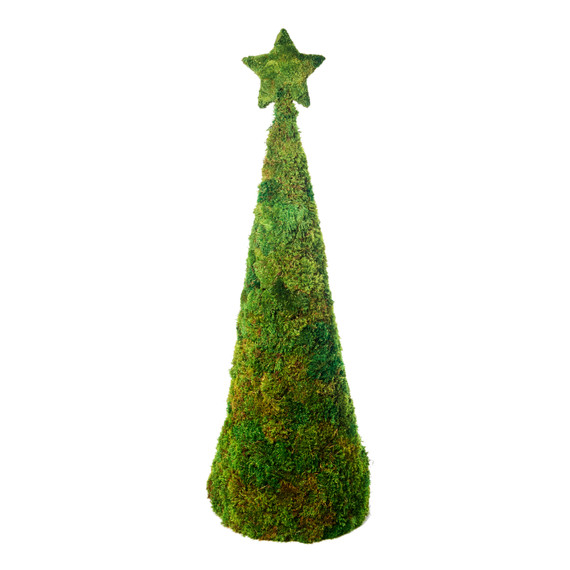 Moss Christmas Tree