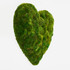 Moss Heart