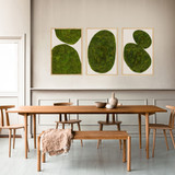 Moss Art - Abstract Series No. 048 (3' x 2')