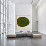 Moss Art - Abstract Series No. 013 (8' x 8')