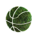 Basketball - Moss Wall Decor