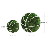 Basketball - Moss Wall Decor