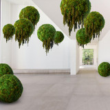 Moss Sphere - Floor