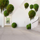 Hanging Moss Sphere with Amaranthus