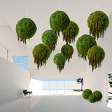 Hanging Moss Sphere with Amaranthus