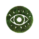 Sacred Eye - Moss Wall Decor