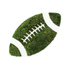 Football - Moss Wall Decor