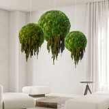 Hanging Moss Sphere with Amaranthus