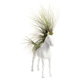 Horse Large Standing - Juncea Airplants (30" H x 20" W)