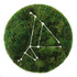 Zodiac Collection - Moss Constellations