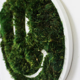 Smiley Face - Moss Wall Decor