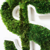 Money Sign - Moss Wall Decor