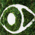 Sacred Eye - Moss Wall Decor