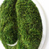 Tennis Ball - Moss Wall Decor