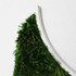 Crescent Moon - Moss Wall Decor