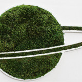 Saturn - Moss Wall Decor