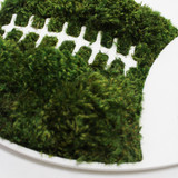 Football - Moss Wall Decor