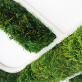 Infinity - Moss Wall Decor