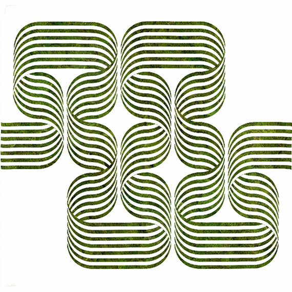 Optical Moss Art - Labyrinth (4' x 4’)