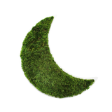 Crescent Moon - Moss Wall Decor