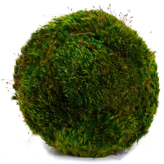 Moss Sphere - Tabletop