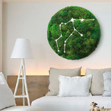 Zodiac Collection - Moss Constellations