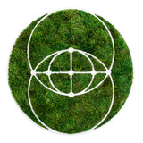 Moss Sacred Geometry - Vesica Pisces Eye (30" D)