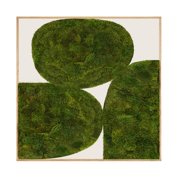 Moss Art - Abstract Series No. 005 (8' x 8')