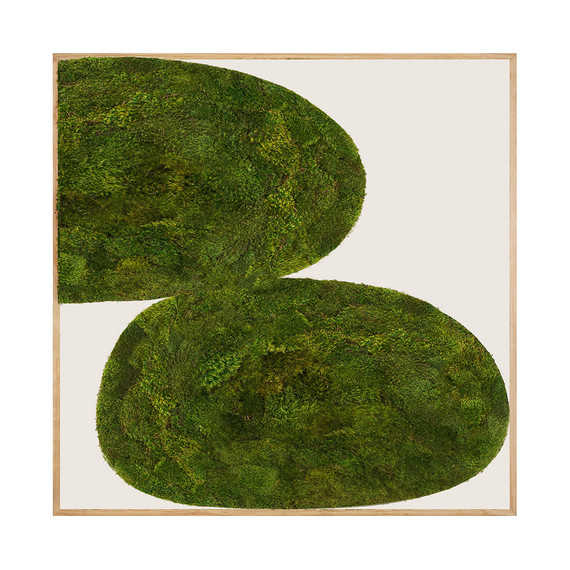 Moss Art - Abstract Series No. 006 (8' x 8')
