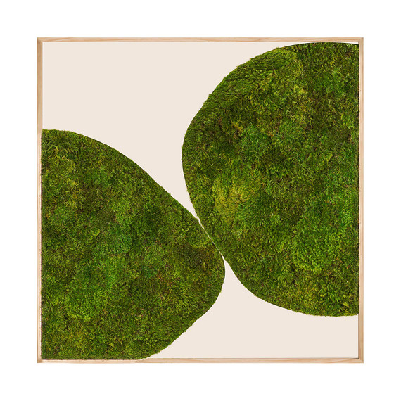 Moss Art - Abstract Series No. 010 (8' x 8')