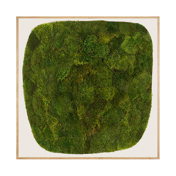 Moss Art - Abstract Series No. 012 (8' x 8')