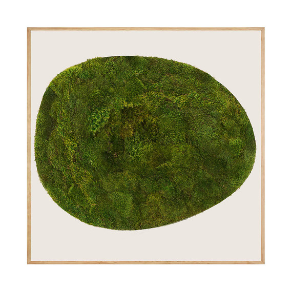 Moss Art - Abstract Series No. 013 (8' x 8')