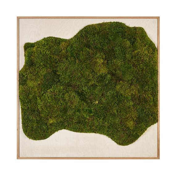 Moss Art - Abstract Series No. 015 (8' x 8')