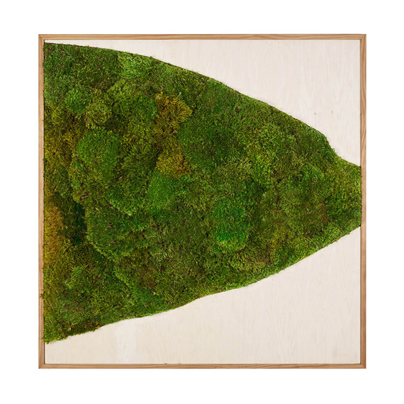 Moss Art - Abstract Series No. 017 (8' x 8')