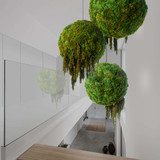 Hanging Moss Sphere with Amaranthus