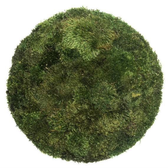 Moss Circle