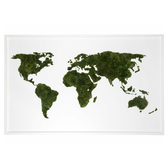 Moss World Map (72" x 45")