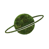 Saturn - Moss Wall Decor