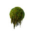 Hanging Moss Sphere with Amaranthus