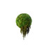 Hanging Moss Sphere with Amaranthus