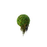 Hanging Moss Sphere with Amaranthus