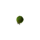 Hanging Moss Sphere with Amaranthus