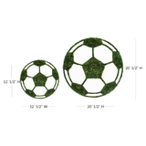 Soccer Ball - Moss Wall Decor