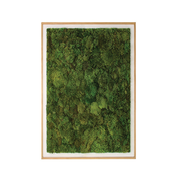 Moss Art - Solid Moss Series (6' x 4')