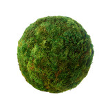 Moss Sphere - Floor