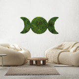 Lunar Eclipse - Moss Wall Design