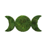 Lunar Eclipse - Moss Wall Design